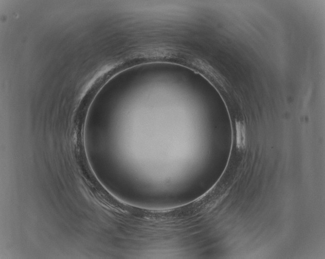 X0000074940723200609081350