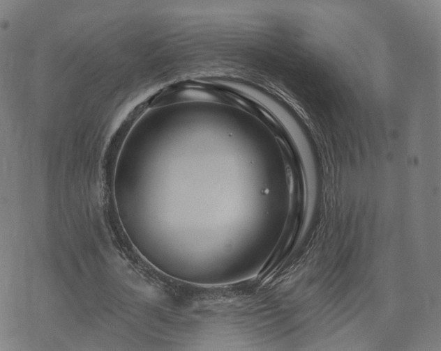 X0000074940724200609081350