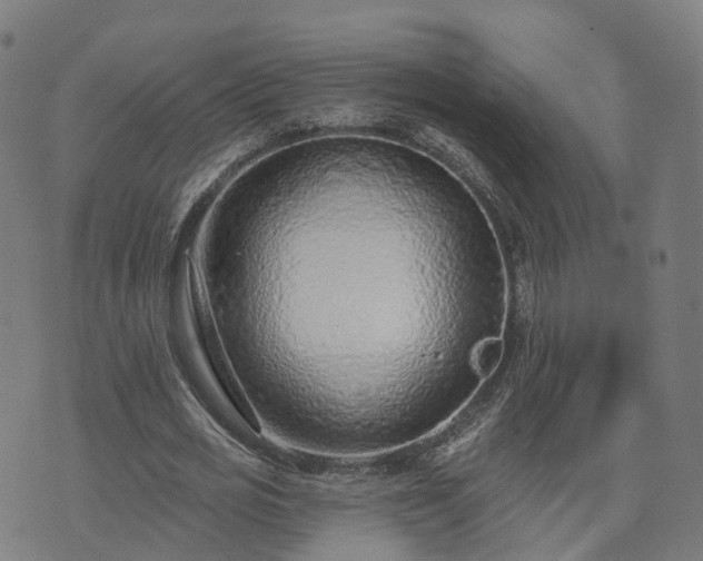 X0000074940725200609081350