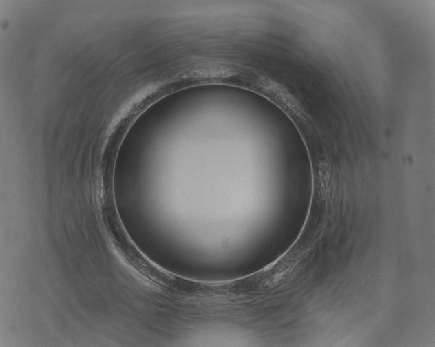 X0000074940726200609081350