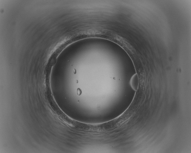 X0000074940727200609081350