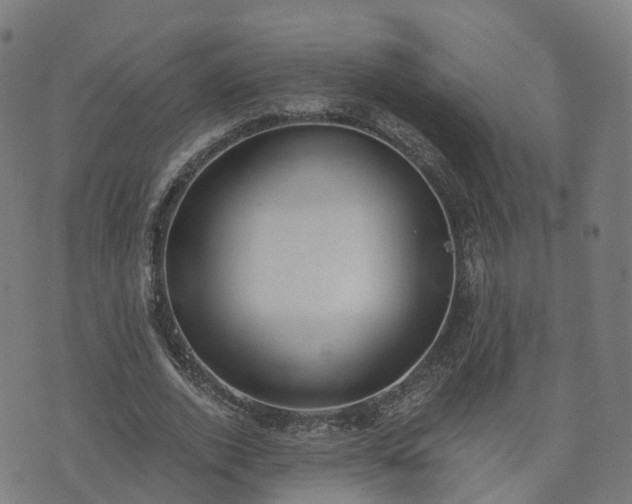 X0000074940728200609081350