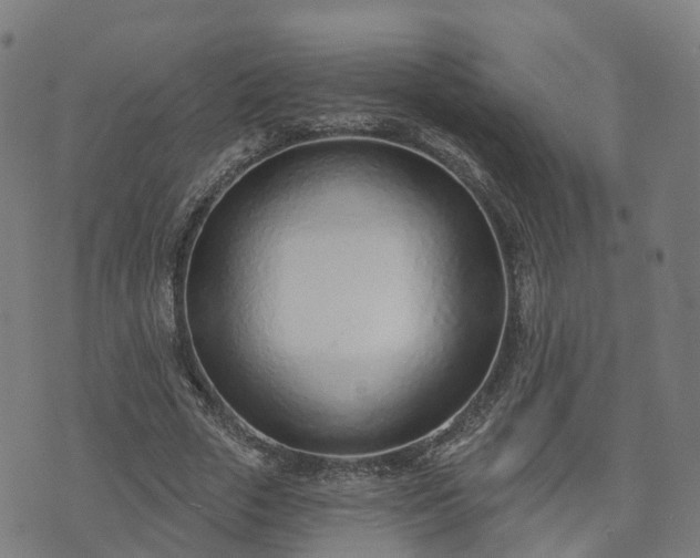 X0000074940729200609081350