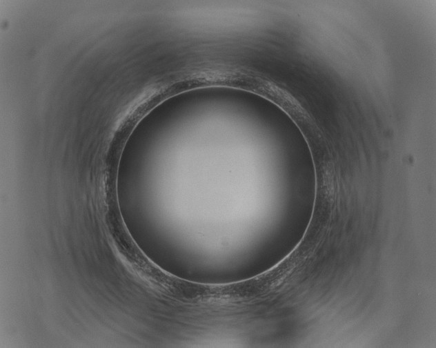 X0000074940730200609081350