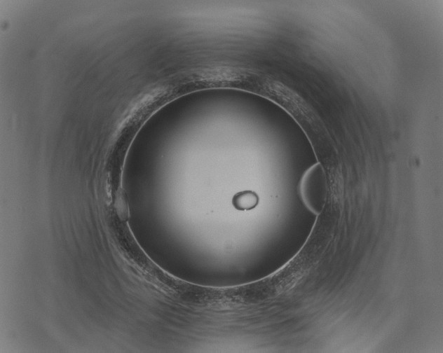 X0000074940731200609081350