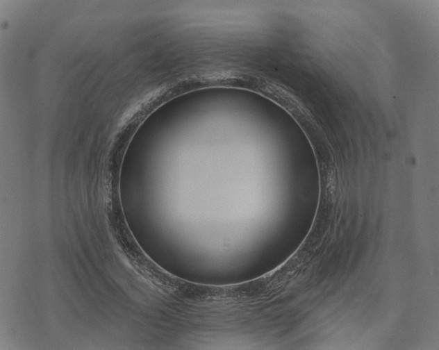 X0000074940732200609081350