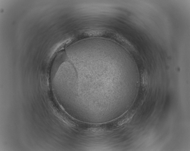 X0000074940733200609081350