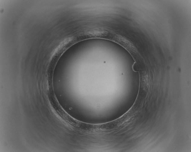 X0000074940734200609081350