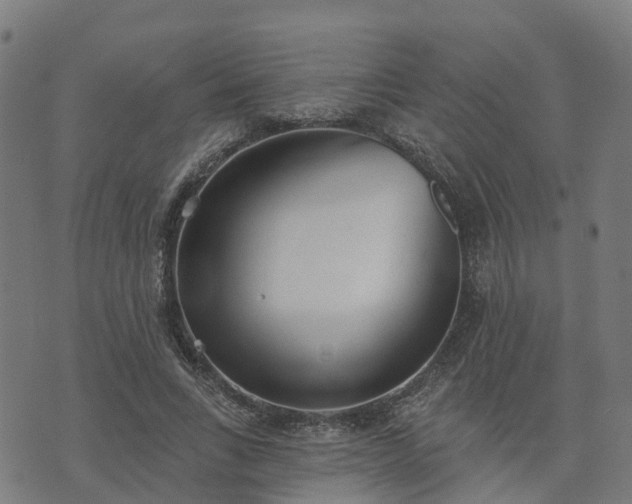 X0000074940735200609081350