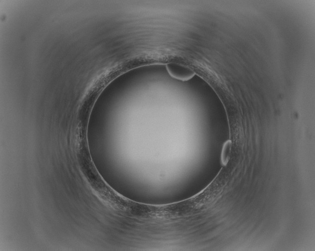 X0000074940736200609081350