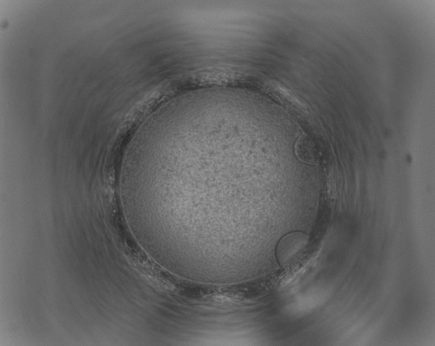 X0000074940737200609081350