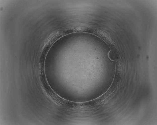 X0000074940738200609081350