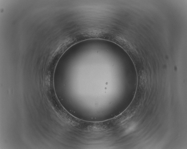 X0000074940739200609081350