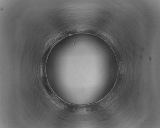 X0000074940740200609081350