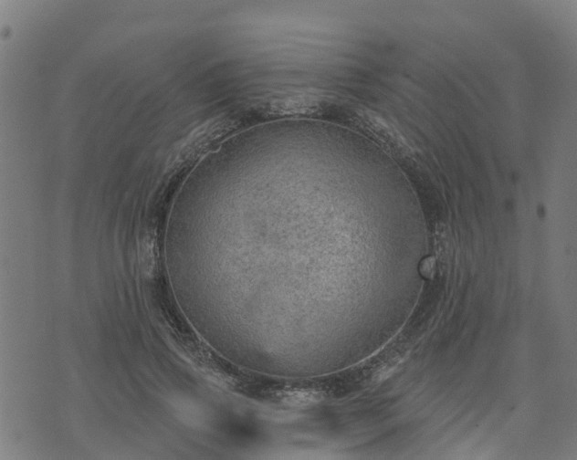 X0000074940741200609081350