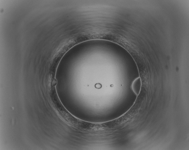 X0000074940742200609081350