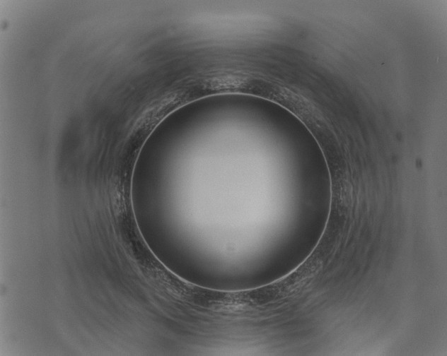 X0000074940743200609081350