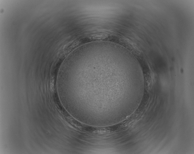 X0000074940745200609081350