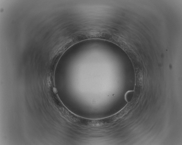 X0000074940746200609081350