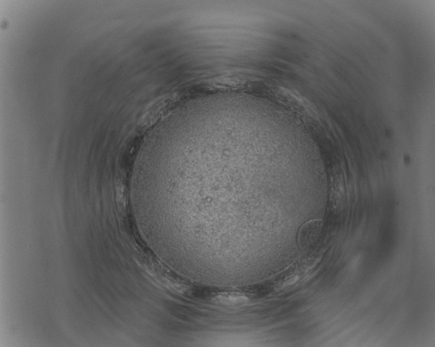 X0000074940749200609081350