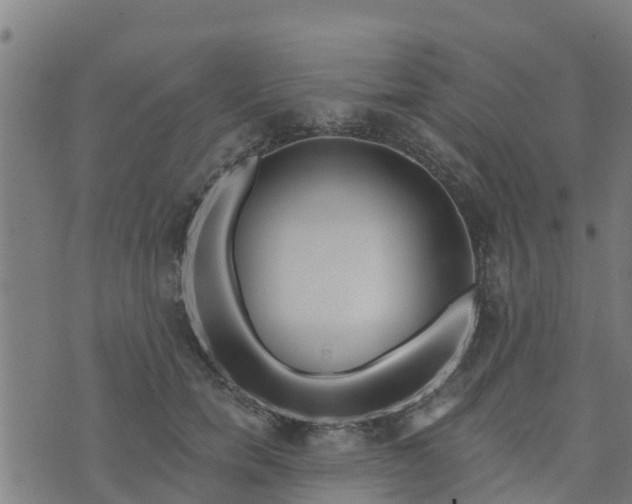 X0000074940750200609081350