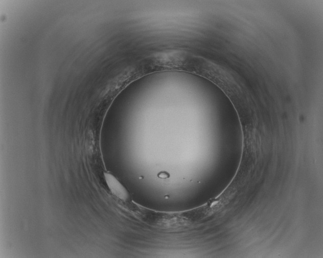 X0000074940752200609081350