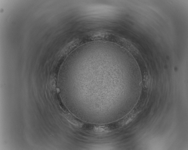 X0000074940753200609081350