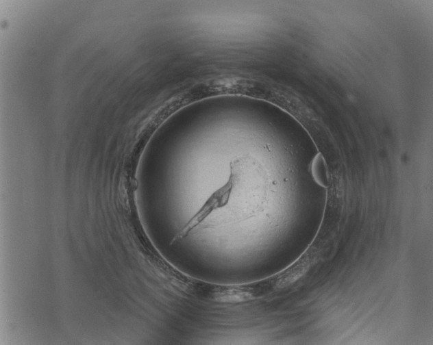 X0000074940754200609081350