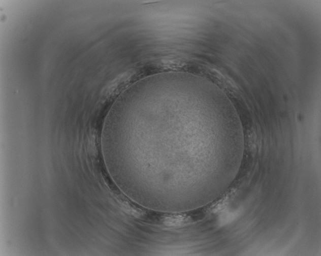 X0000074940757200609081351