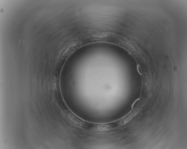 X0000074940758200609081351