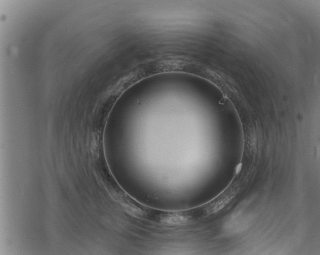 X0000074940759200609081351