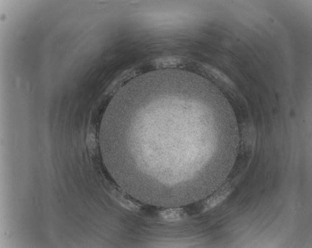 X0000074940761200609081351