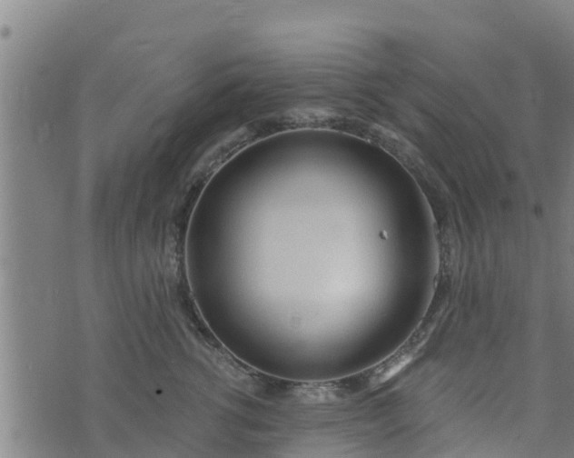 X0000074940762200609081351