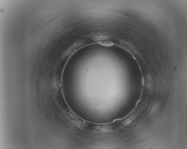 X0000074940763200609081351