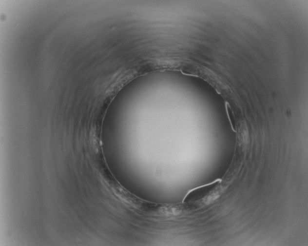 X0000074940764200609081351