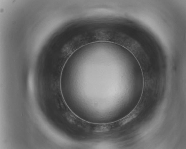 X0000074940765200609081351