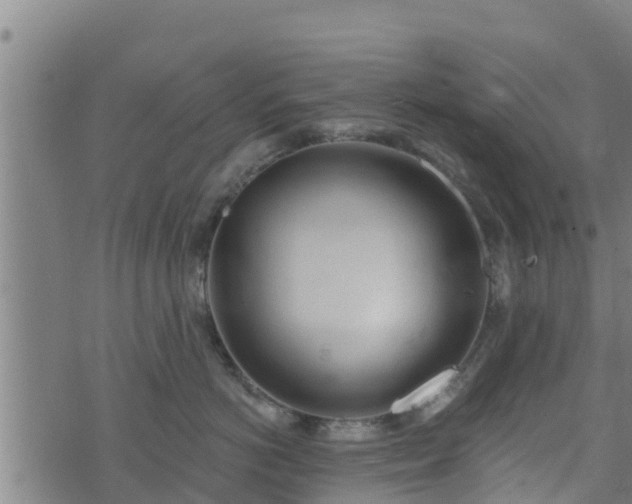 X0000074940766200609081351