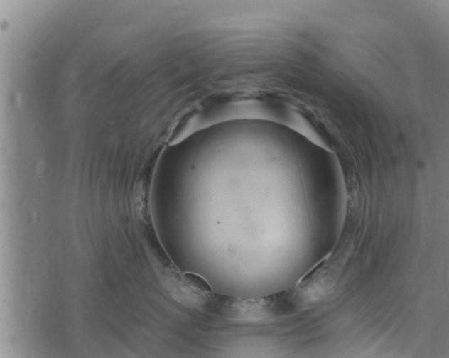 X0000074940767200609081351