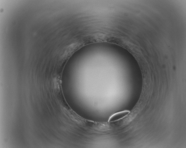 X0000074940768200609081351