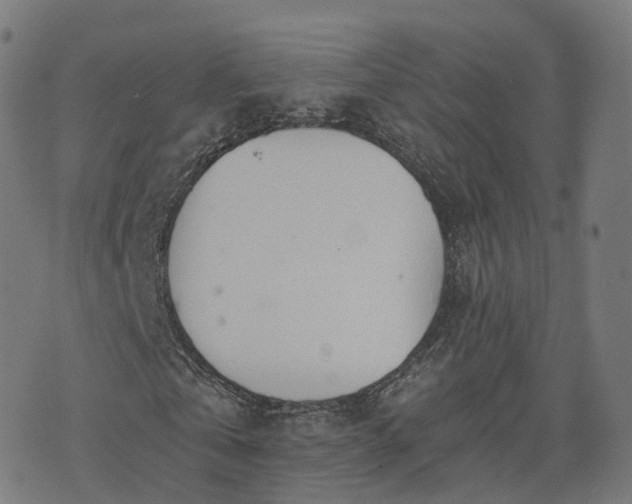 X0000074940769200609081350