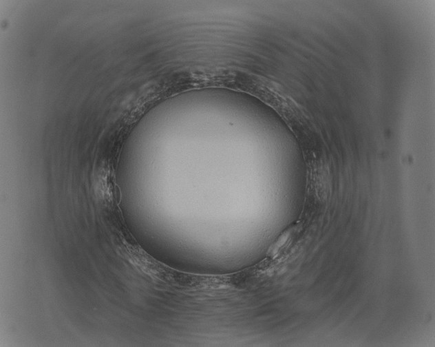 X0000074940770200609081350