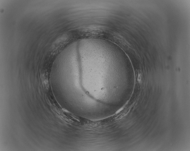 X0000074940771200609081350