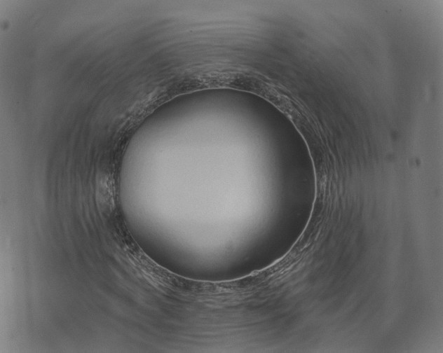 X0000074940772200609081350