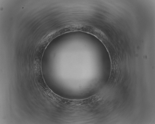 X0000074940773200609081350