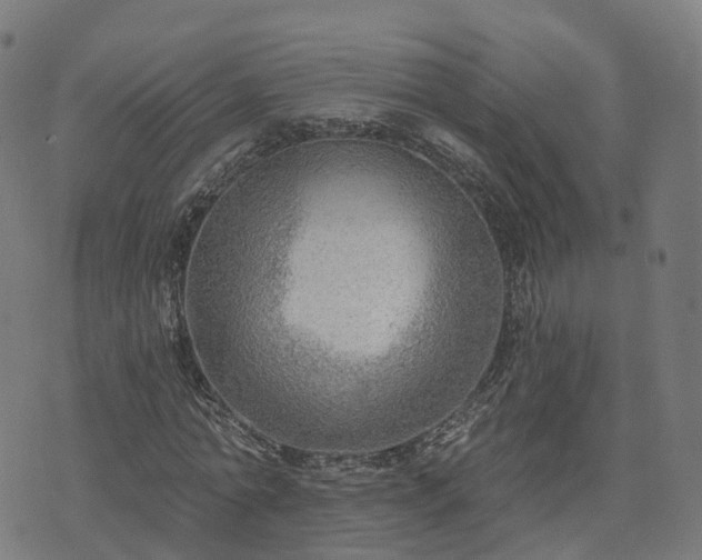 X0000074940774200609081350