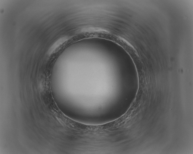 X0000074940775200609081350