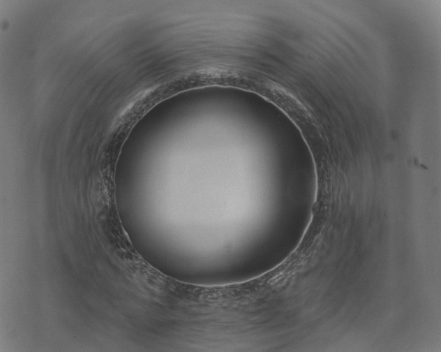 X0000074940776200609081350