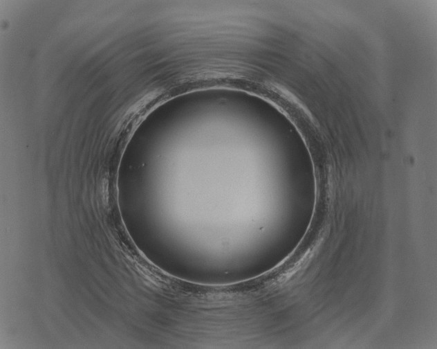 X0000074940777200609081350