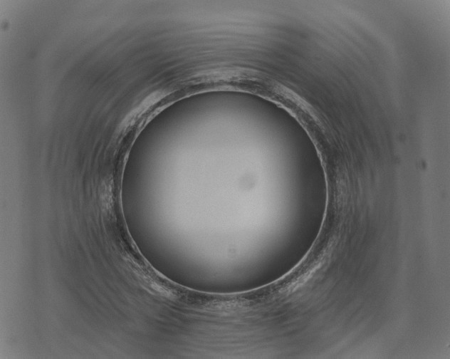 X0000074940778200609081350