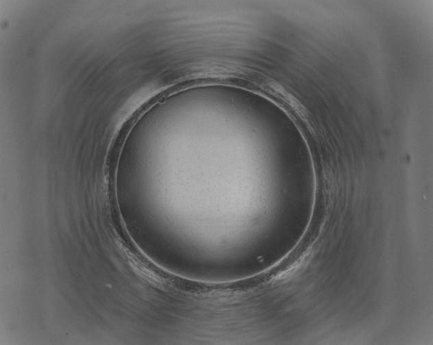 X0000074940779200609081350